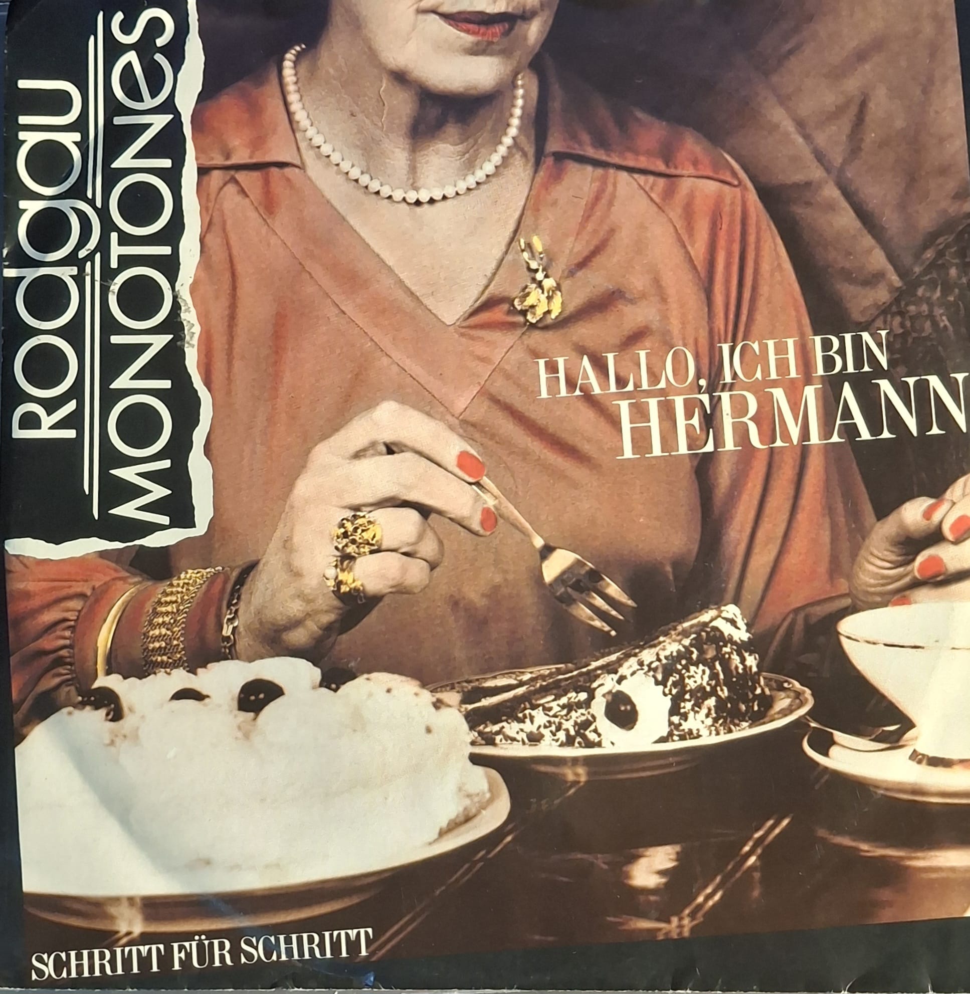 Hallo, Ich Bin Hermann - RODGAU MONOTONES (Vinyl Single)